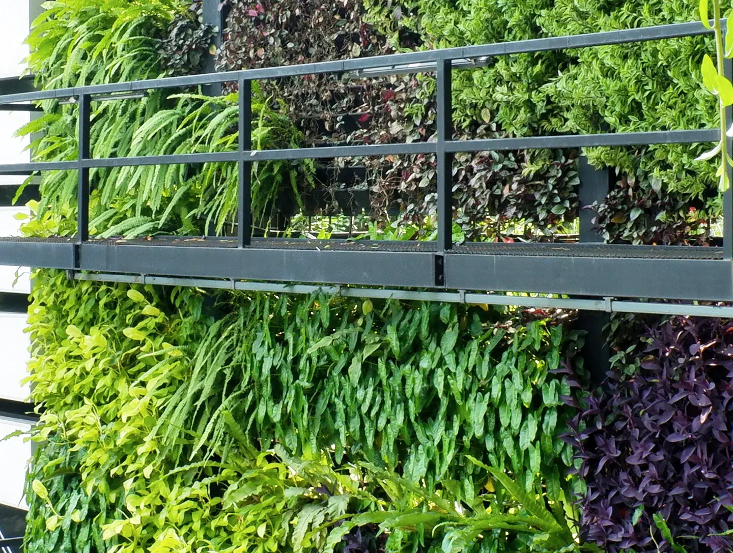 Read more about the article Konsep Taman Vertikal untuk Lahan Sempit di Jakarta