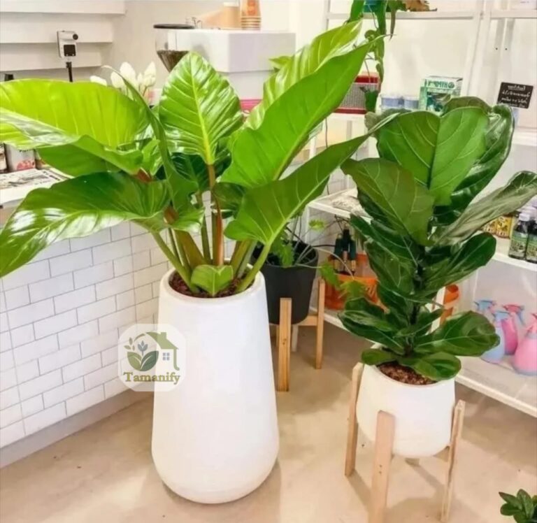 Jual tanaman sintetis jakarta